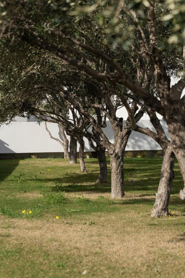 Tzanis Resort İskiri Dış mekan fotoğraf