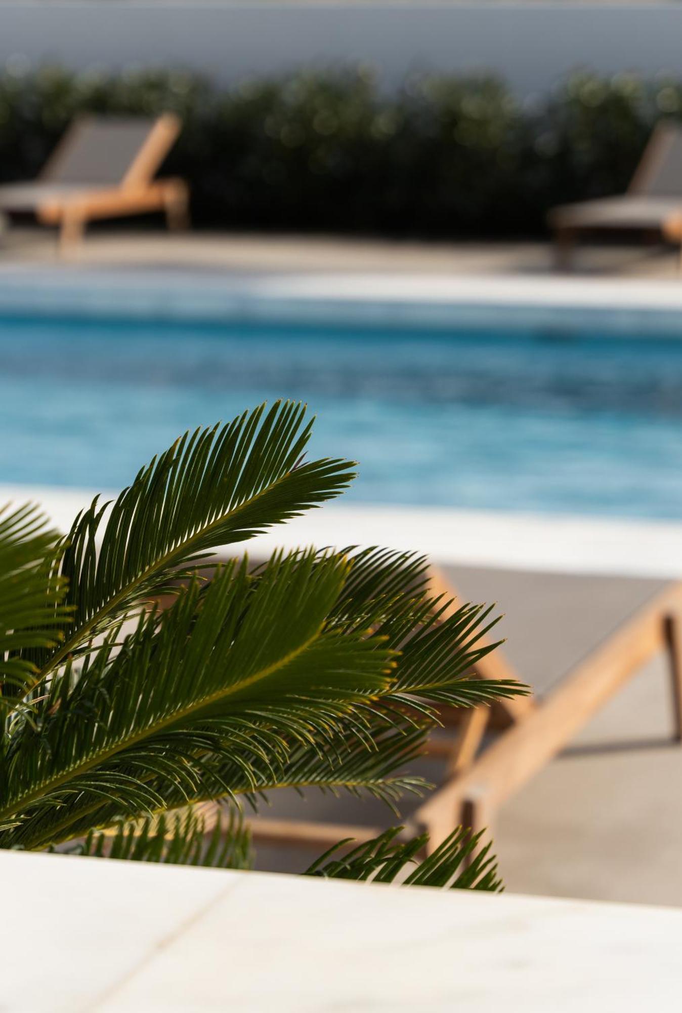 Tzanis Resort İskiri Dış mekan fotoğraf